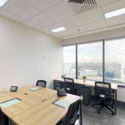 141 Walker Street, Level 12 office spaces