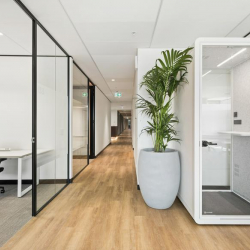 Office accomodations in central Sydney