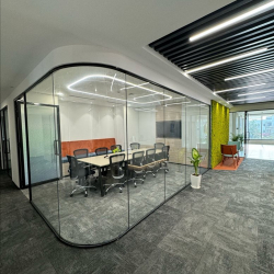 Office suite - Gurugram